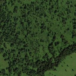 Ust’-Koksinskiy Rayon map(satellite map)