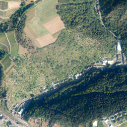 Sankt Goarshausen map(satellite map)