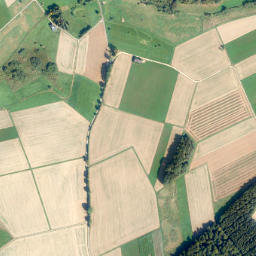 Gondershausen map(satellite map)