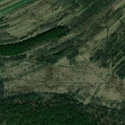 Satelita