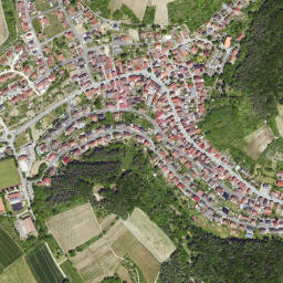 Ramsthal map(satellite map)