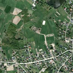 Satelita