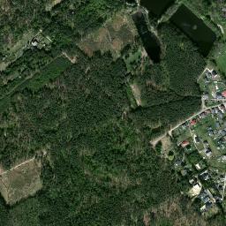Satelita