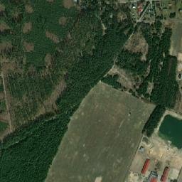 Satelita