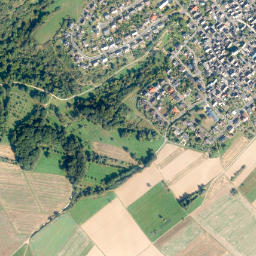 Bornich map(satellite map)