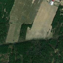 Satelita