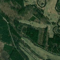 Satelita