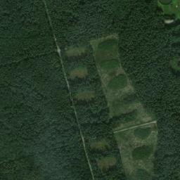 Satelita