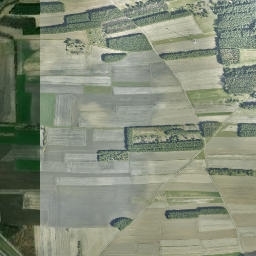 Satelita
