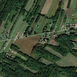 Satelita