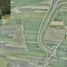 Satelita
