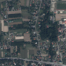 Trzciana map(satellite map)