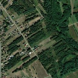 Satelita
