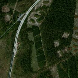 Satelita