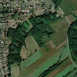 Satelita