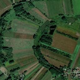 Satelita