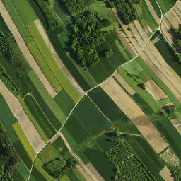 Powiat ropczycko-sędziszowski map(satellite map)