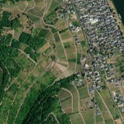 Reil map(satellite map)