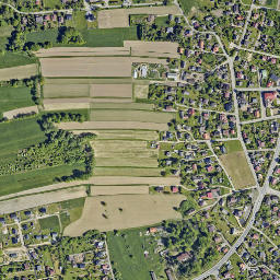 Rajsko map(satellite map)