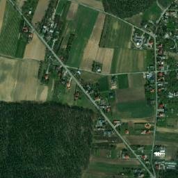 Zalesie map(satellite map)