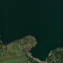 Satelita