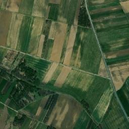 Satelita