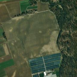 Satelita