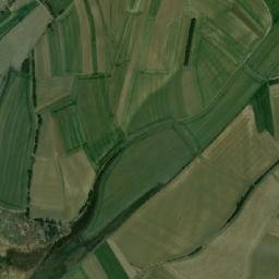 Satelita