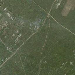 Dauriya map(satellite map)