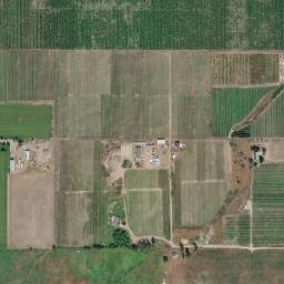 Ellison map(satellite map)