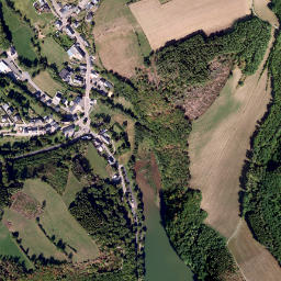 Bavigne map(satellite map)