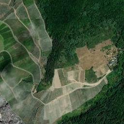 Bernkastel-Kues map(satellite map)