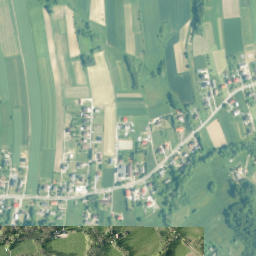 Witanowice map(satellite map)