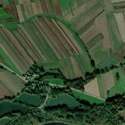 Satelita