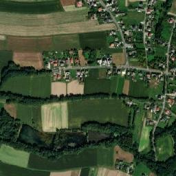 Witkowice map(satellite map)