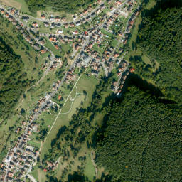 Heimbuchenthal map(satellite map)