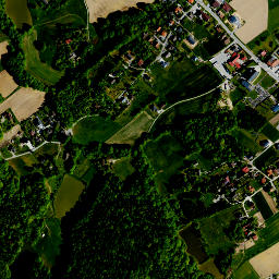 Janowice map(satellite map)