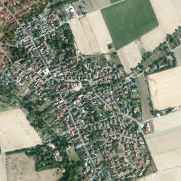 Selzen map(satellite map)