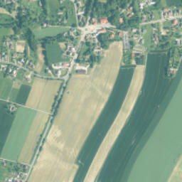 Pruchna map(satellite map)