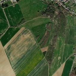 Welschbillig map(satellite map)