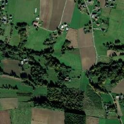 Satelita