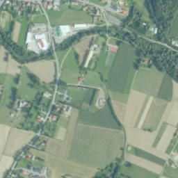 Trzciana map(satellite map)