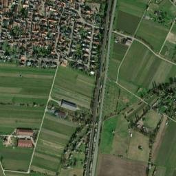 Dienheim map(satellite map)