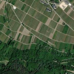 Leiwen map(satellite map)