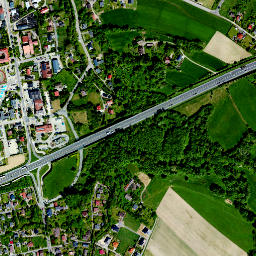 Jasienica map(satellite map)