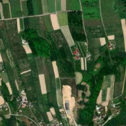 Satelita