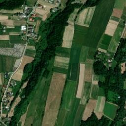 Satelita