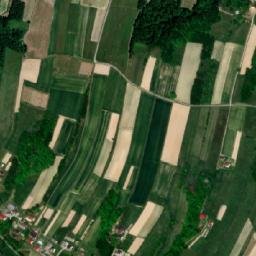 Satelita