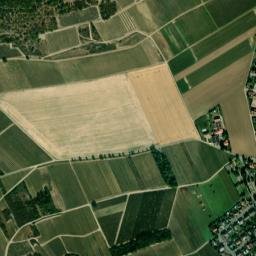 Siefersheim map(satellite map)