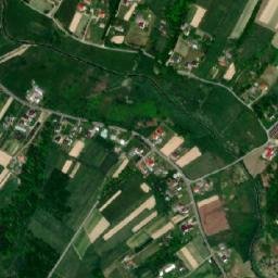 Satelita